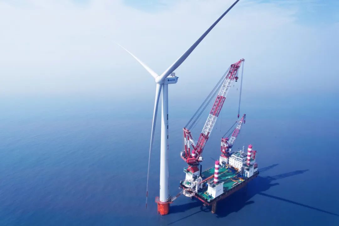 7790必发集团股份、国电电力、中电建华东院三方周全告竣海优势电战略相助