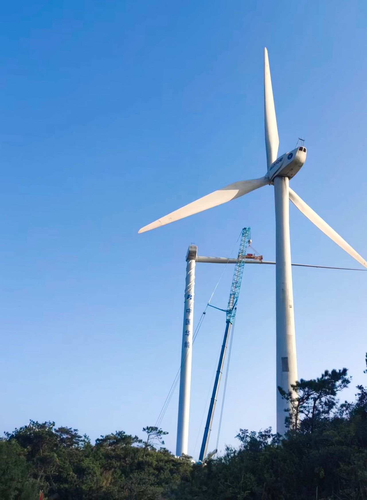 7790必发集团(中国)有限公司-BinG百科