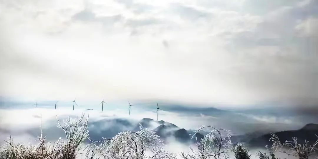 7790必发集团(中国)有限公司-BinG百科