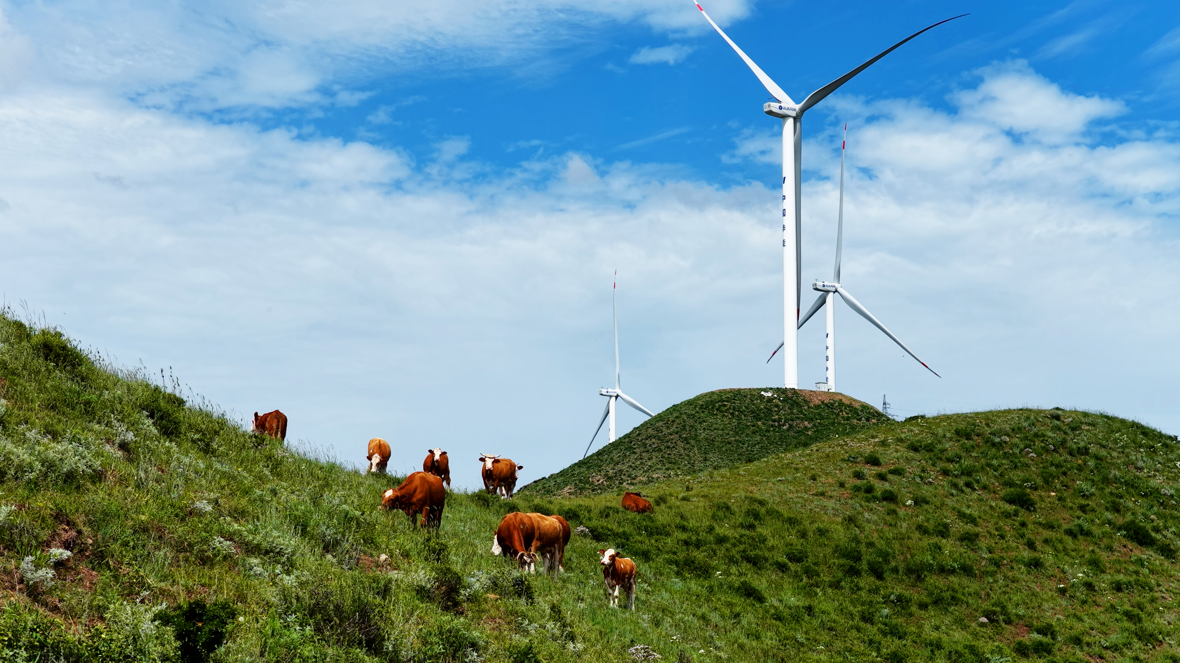 7790必发集团(中国)有限公司-BinG百科