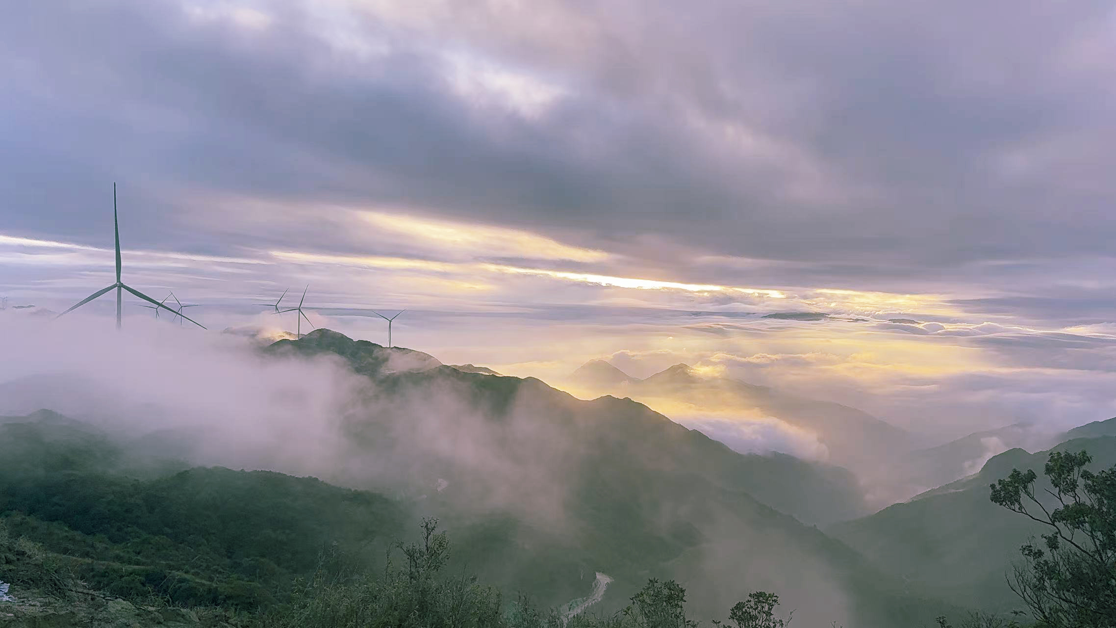 7790必发集团(中国)有限公司-BinG百科